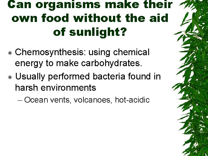 Can organisms make their own food without the aid of sunlight? Chemosynthesis: using chemical