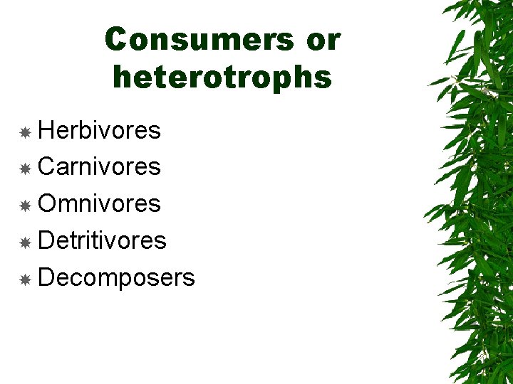 Consumers or heterotrophs Herbivores Carnivores Omnivores Detritivores Decomposers 