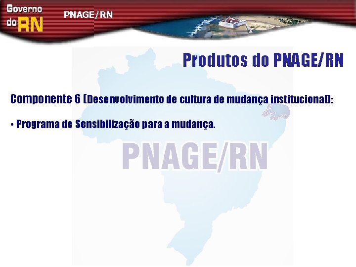 PNAGE/RN Produtos do PNAGE/RN Componente 6 (Desenvolvimento de cultura de mudança institucional): • Programa