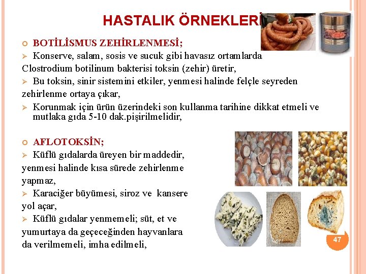 HASTALIK ÖRNEKLERİ BOTİLİSMUS ZEHİRLENMESİ; Ø Konserve, salam, sosis ve sucuk gibi havasız ortamlarda Clostrodium