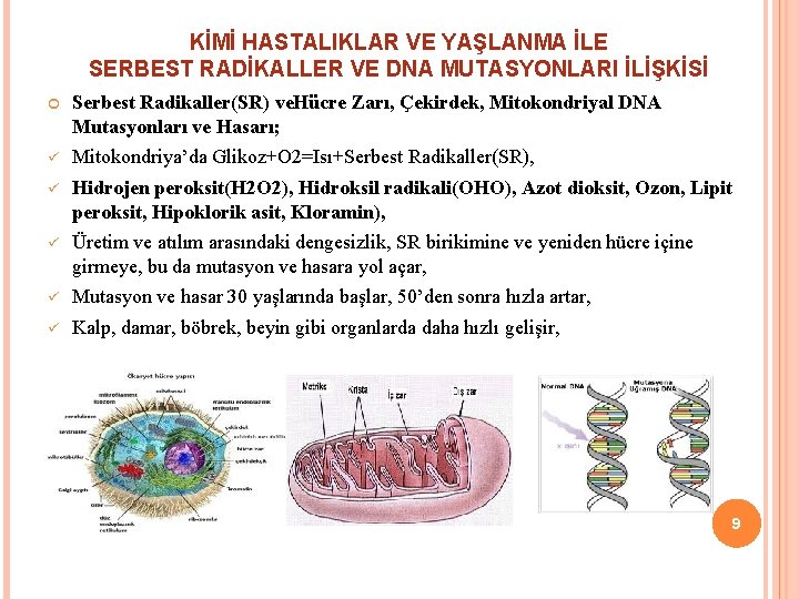 KİMİ HASTALIKLAR VE YAŞLANMA İLE SERBEST RADİKALLER VE DNA MUTASYONLARI İLİŞKİSİ Serbest Radikaller(SR) ve.