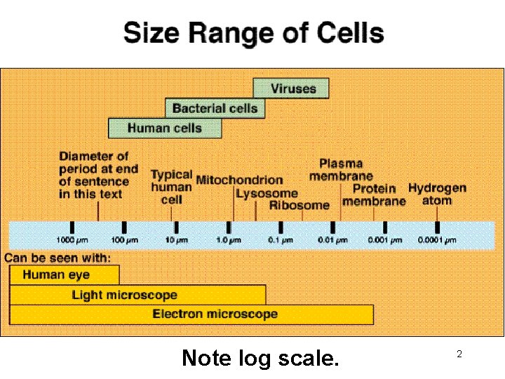 Note log scale. 2 