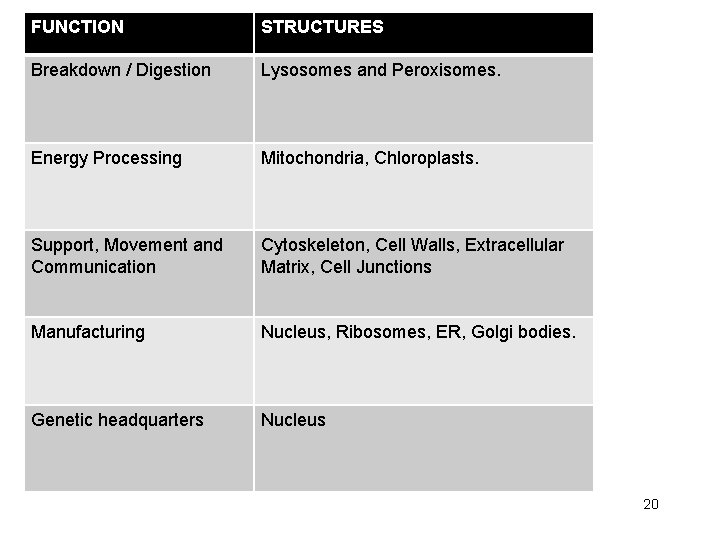 FUNCTION STRUCTURES Breakdown / Digestion Lysosomes and Peroxisomes. Energy Processing Mitochondria, Chloroplasts. Support, Movement