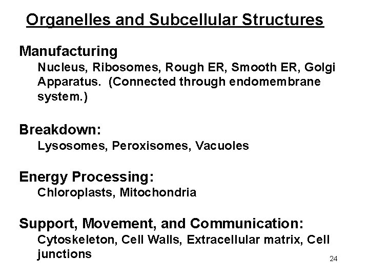 Organelles and Subcellular Structures Manufacturing Nucleus, Ribosomes, Rough ER, Smooth ER, Golgi Apparatus. (Connected