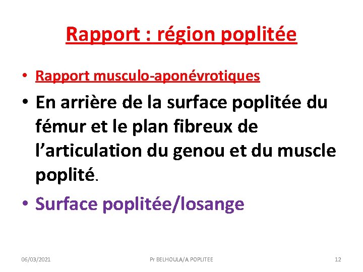 Rapport : région poplitée • Rapport musculo-aponévrotiques • En arrière de la surface poplitée