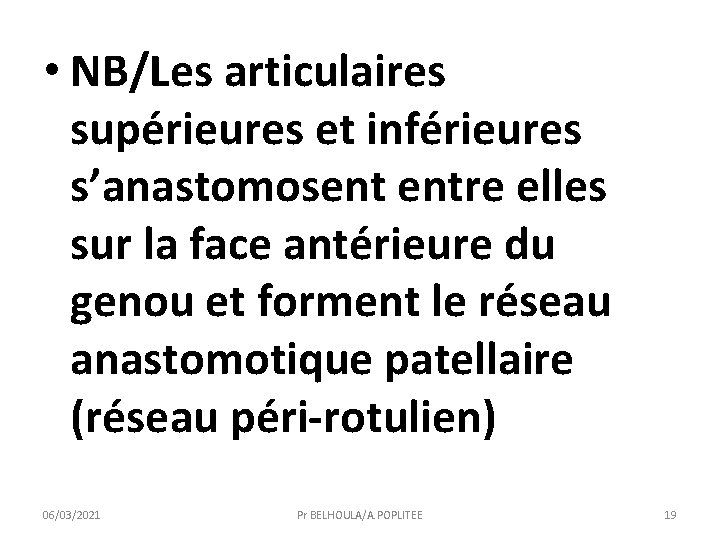  • NB/Les articulaires supérieures et inférieures s’anastomosent entre elles sur la face antérieure