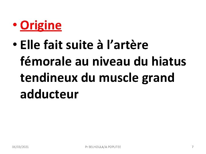  • Origine • Elle fait suite à l’artère fémorale au niveau du hiatus