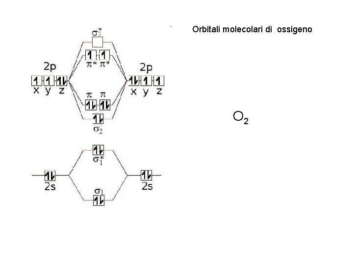 Orbitali molecolari di ossigeno O 2 