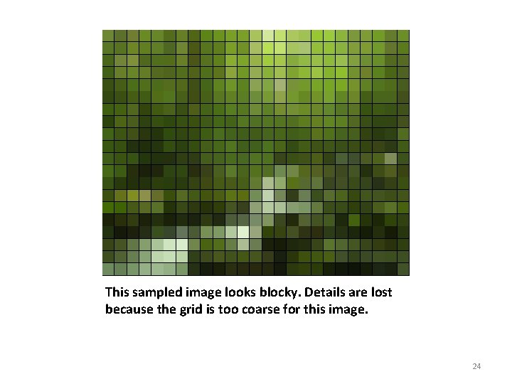 This sampled image looks blocky. Details are lost because the grid is too coarse