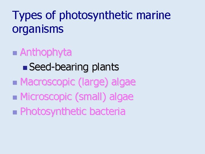 Types of photosynthetic marine organisms Anthophyta n Seed-bearing plants n Macroscopic (large) algae n