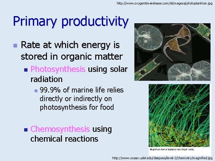 http: //www. oxygentimerelease. com/A/imagesa/phytoplankton. jpg Primary productivity n Rate at which energy is stored