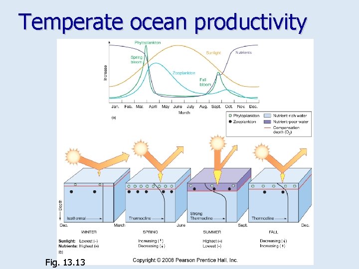 Temperate ocean productivity Fig. 13 