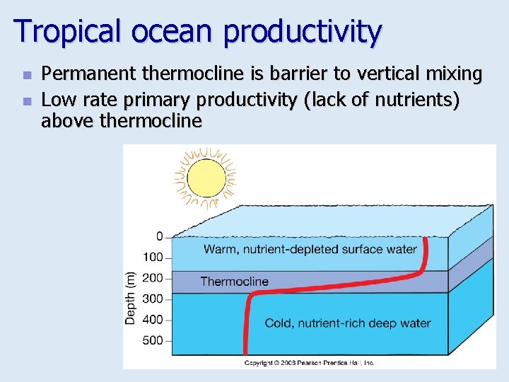 Tropical ocean productivity n n Permanent thermocline is barrier to vertical mixing Low rate