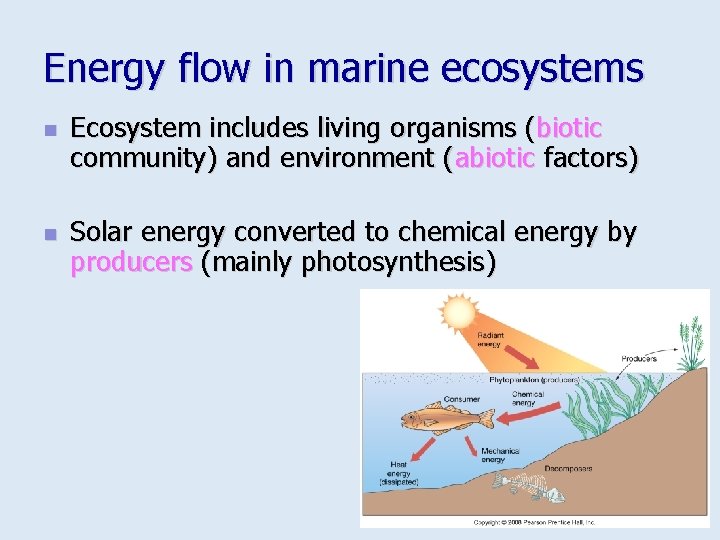 Energy flow in marine ecosystems n n Ecosystem includes living organisms (biotic community) and