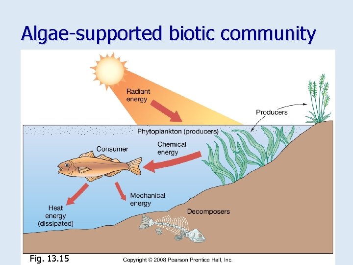 Algae-supported biotic community Fig. 13. 15 