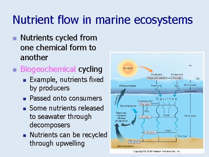 Nutrient flow in marine ecosystems n n Nutrients cycled from one chemical form to
