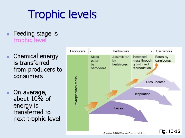 Trophic levels n n n Feeding stage is trophic level Chemical energy is transferred