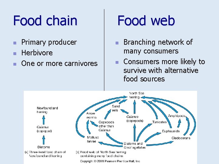 Food chain n Primary producer Herbivore One or more carnivores Food web n n