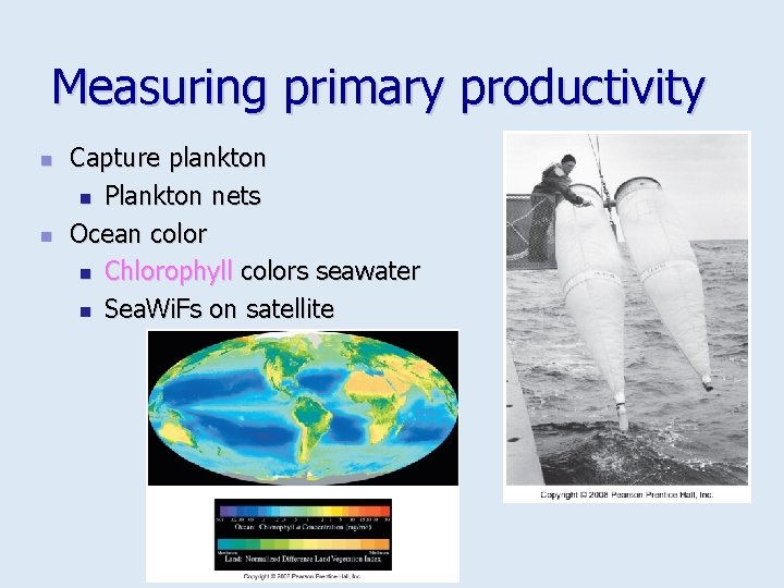 Measuring primary productivity n n Capture plankton n Plankton nets Ocean color n Chlorophyll