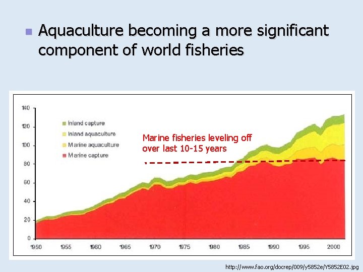 n Aquaculture becoming a more significant component of world fisheries Marine fisheries leveling off