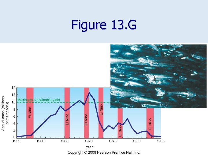 Figure 13. G 