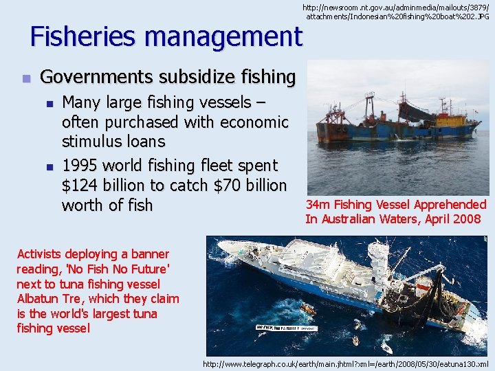 http: //newsroom. nt. gov. au/adminmedia/mailouts/3879/ attachments/Indonesian%20 fishing%20 boat%202. JPG Fisheries management n Governments subsidize