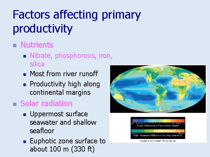 Factors affecting primary productivity n Nutrients n n Nitrate, phosphorous, iron, silica Most from