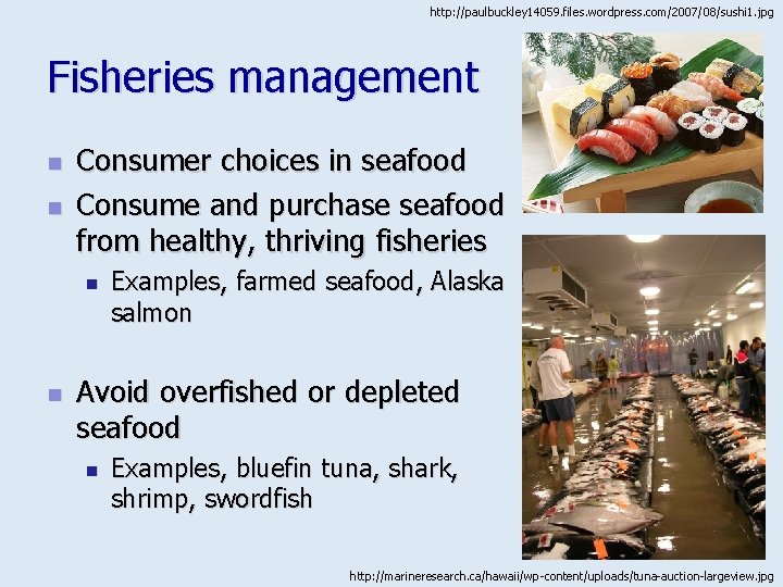 http: //paulbuckley 14059. files. wordpress. com/2007/08/sushi 1. jpg Fisheries management n n Consumer choices