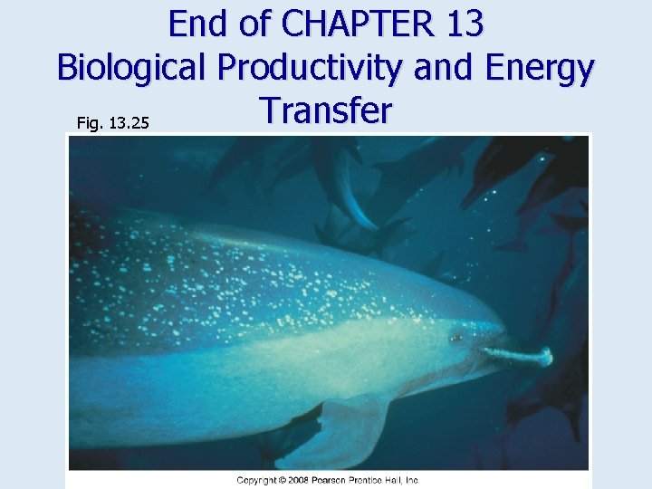 End of CHAPTER 13 Biological Productivity and Energy Transfer Fig. 13. 25 