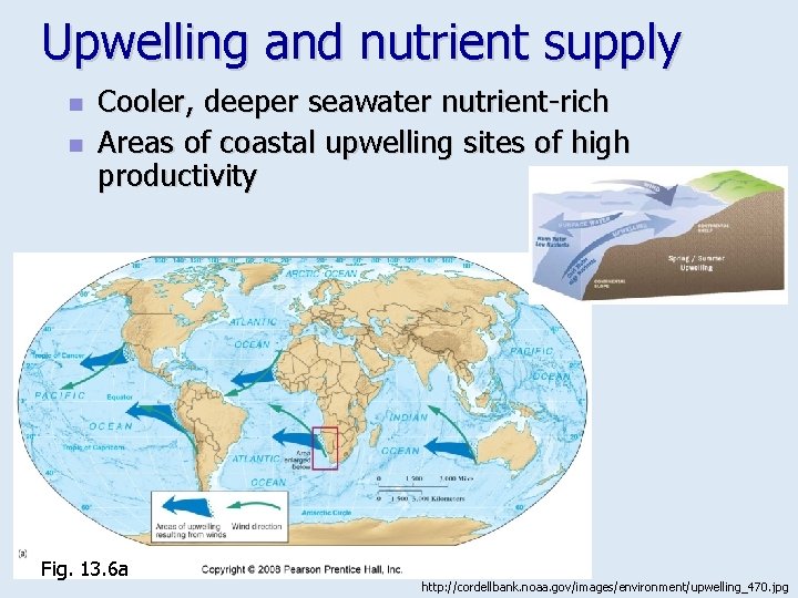 Upwelling and nutrient supply n n Cooler, deeper seawater nutrient-rich Areas of coastal upwelling