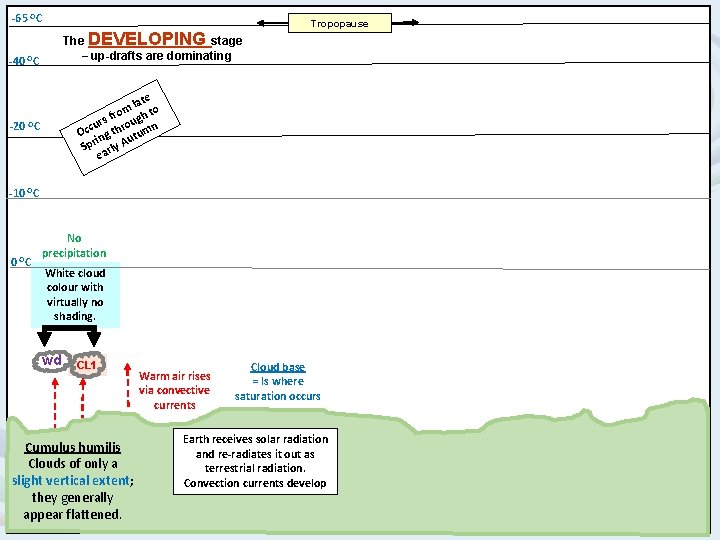 -65 OC The DEVELOPING stage – up-drafts are dominating -40 OC Tropopause e lat