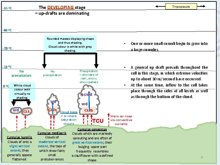 The DEVELOPING stage – up-drafts are dominating -65 OC Tropopause -40 OC -20 Rounded