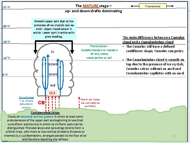 The MATURE stage – up- and down-drafts dominating -65 OC -40 OC -20 OC