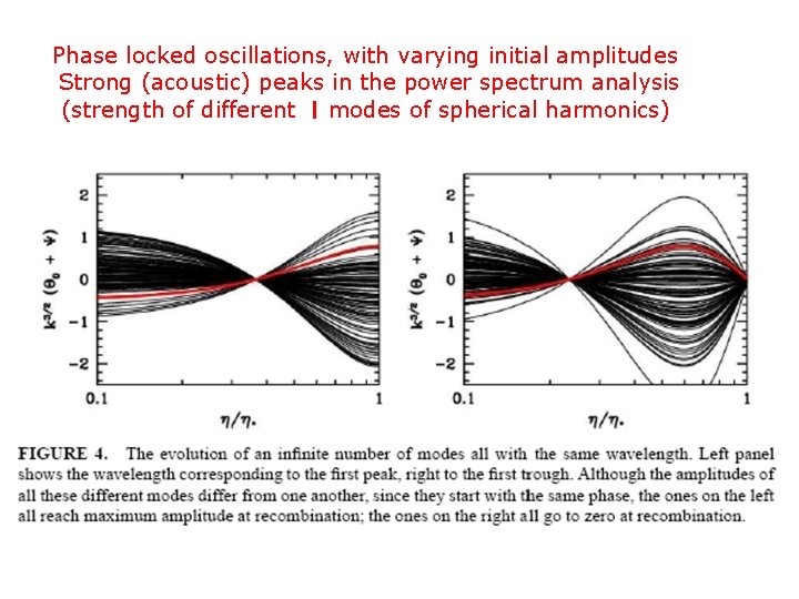 Phase locked oscillations, with varying initial amplitudes Strong (acoustic) peaks in the power spectrum