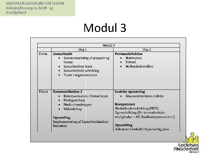 UDDVIKLINGSFORLØB FOR LEDERE Kriminalforsorgen. Midt- og Nordjylland Modul 3 