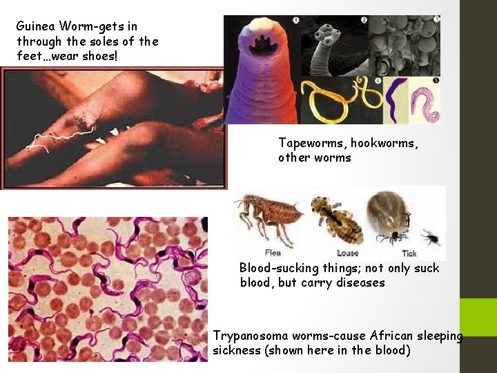 Guinea Worm-gets in through the soles of the feet…wear shoes! Tapeworms, hookworms, other worms