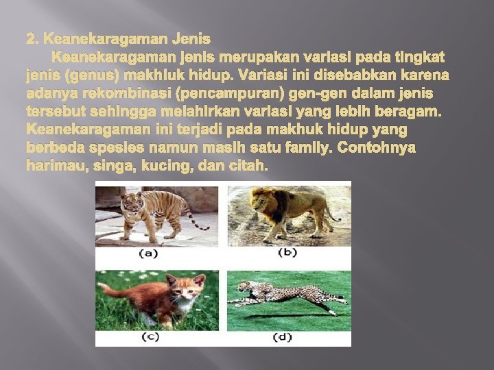 2. Keanekaragaman Jenis Keanekaragaman jenis merupakan variasi pada tingkat jenis (genus) makhluk hidup. Variasi