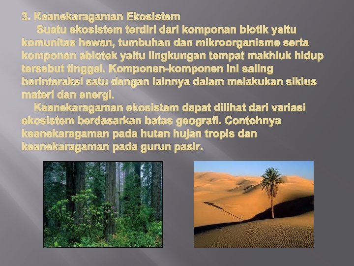 3. Keanekaragaman Ekosistem Suatu ekosistem terdiri dari komponan biotik yaitu komunitas hewan, tumbuhan dan