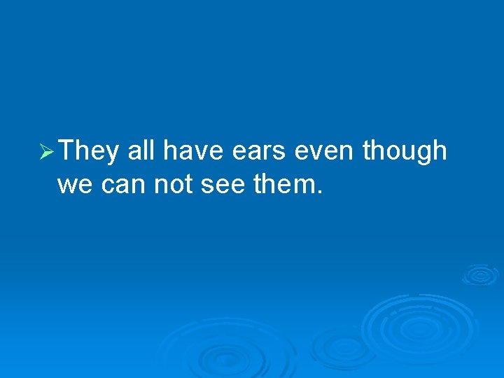 Ø They all have ears even though we can not see them. 