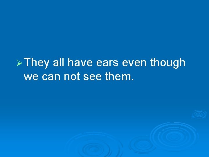 Ø They all have ears even though we can not see them. Ø They all have ears even though we can not see them.