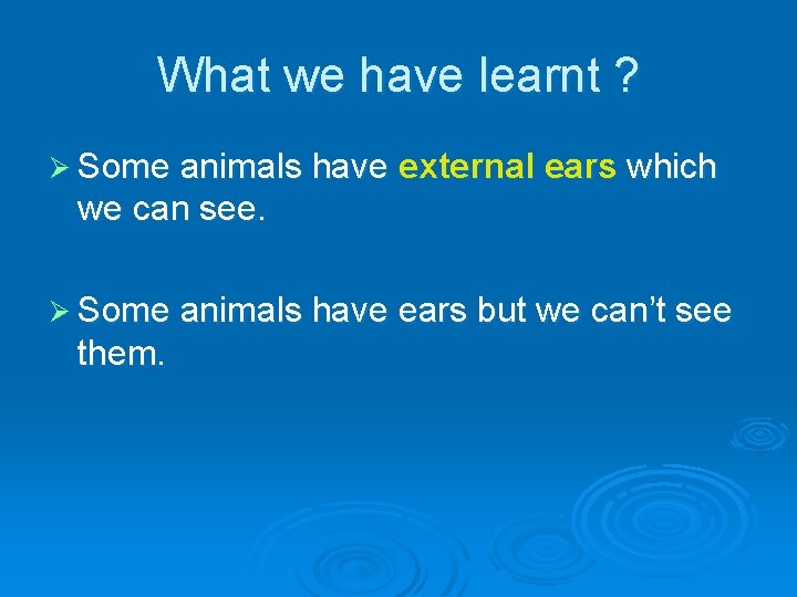 What we have learnt ? Ø Some animals have external ears which we can What we have learnt ? Ø Some animals have external ears which we can