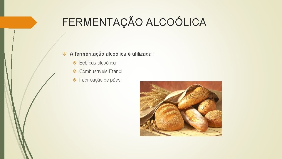 FERMENTAÇÃO ALCOÓLICA A fermentação alcoólica é utilizada : Bebidas alcoólica Combustíveis Etanol Fabricação de