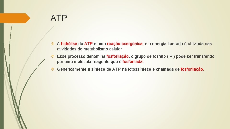 ATP A hidrólise do ATP é uma reação exergônica, e a energia liberada é