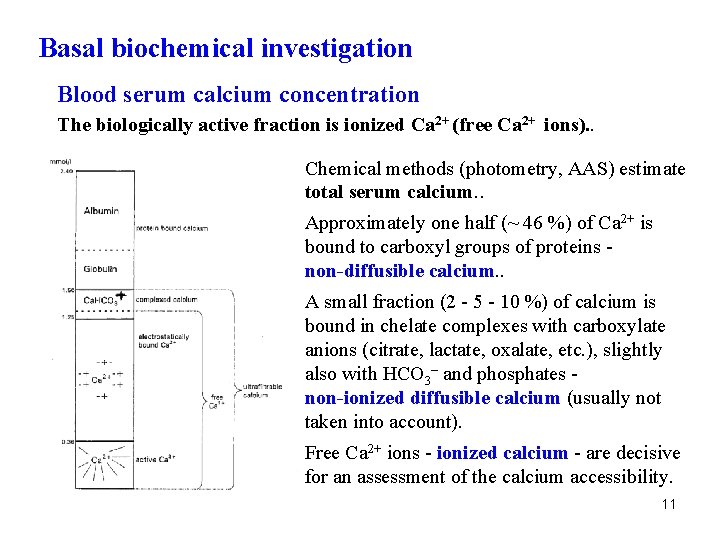 Basal biochemical investigation Blood serum calcium concentration The biologically active fraction is ionized Ca