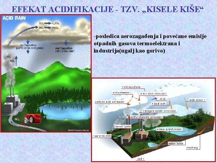 EFEKAT ACIDIFIKACIJE - TZV. „KISELE KIŠE“ -posledica aerozagađenja i povećane emisije otpadnih gasova termoelektrana