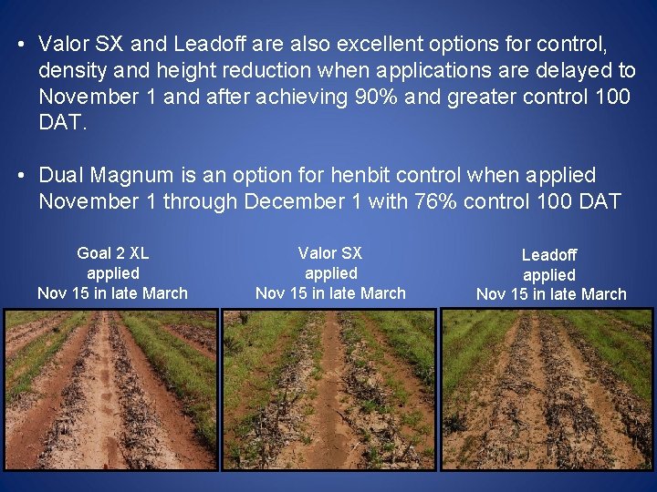  • Valor SX and Leadoff are also excellent options for control, density and