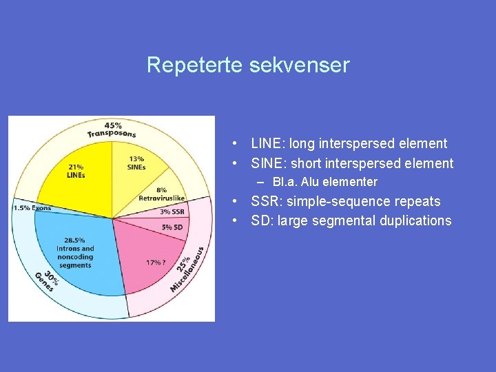 Repeterte sekvenser • LINE: long interspersed element • SINE: short interspersed element – Bl.