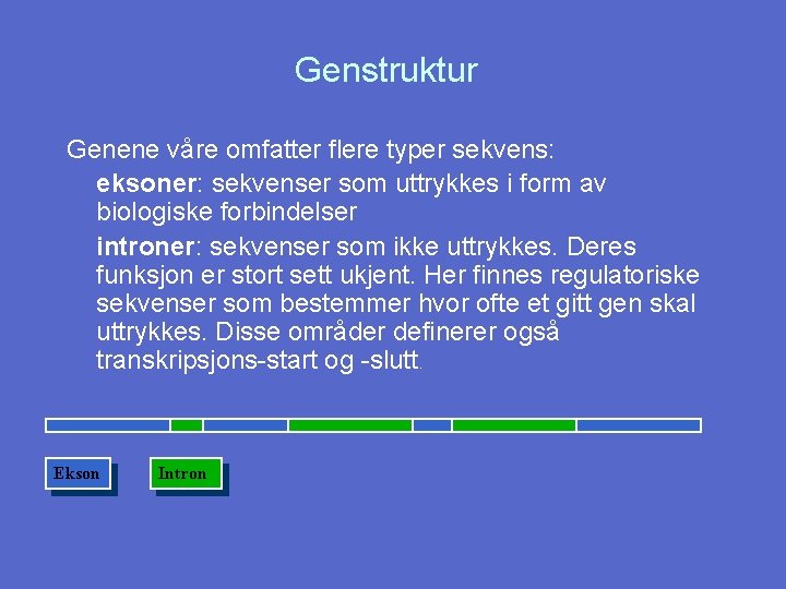 Genstruktur Genene våre omfatter flere typer sekvens: eksoner: sekvenser som uttrykkes i form av