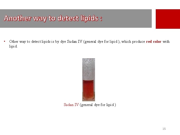 Another way to detect lipids : • Other way to detect lipids is by
