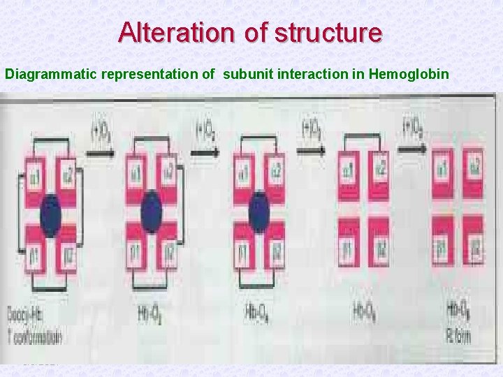 Alteration of structure Diagrammatic representation of subunit interaction in Hemoglobin 3/6/2021 